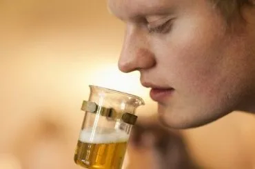 Catar Cerveza