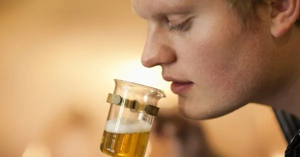 Catar Cerveza