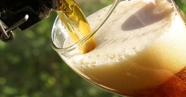 Causas y efectos de la oxidación en la cerveza Causas y efectos de la oxidación en la cerveza