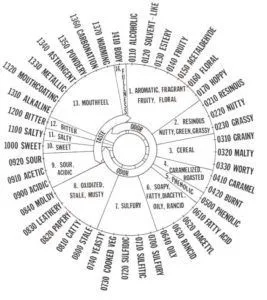Rueda de aromas y sabores de la cerveza