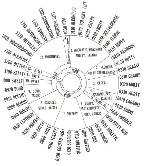 Rueda de aromas y sabores de la cerveza Rueda de aromas y sabores de la cerveza