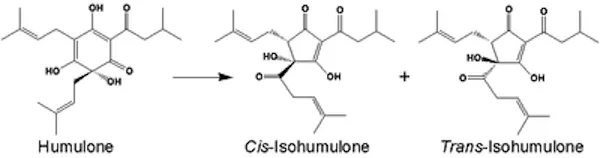 Hop compounds Hop compounds