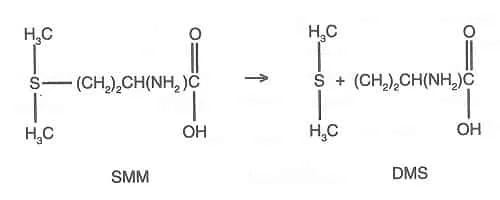 Química do SMM para DMS