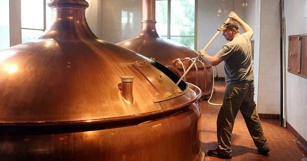 Elaboración de cerveza Elaborando cerveza