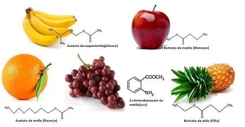 Esteres frutales Esteres frutales