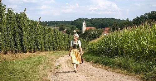 Hallertau, Baviera Hallertau, Baviera