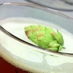 Vaso de cerveza con lúpulo adentro