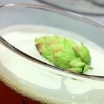Vaso de cerveza con lúpulo adentro