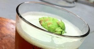 India Pale Ale (IPA) Vaso de cerveza con lúpulo adentro