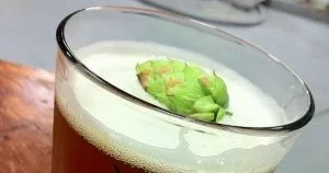 Vaso de cerveza con lúpulo adentro Vaso de cerveza con lúpulo adentro