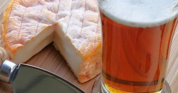 Maridaje de cerveza y queso Maridaje de cerveza y queso
