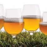 Cervezas Saison