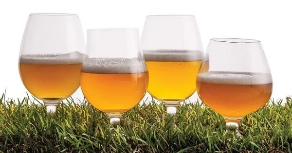 Cervezas Saison