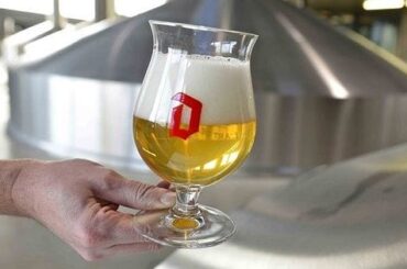 Copa Duvel