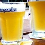 Vaso Hoegaarden