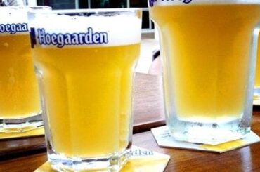 Vaso Hoegaarden