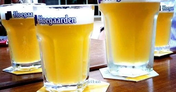 Vaso Hoegaarden