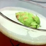Vaso de cerveza con lúpulo