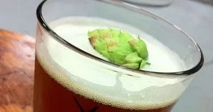 Lúpulo Vaso de cerveza con lúpulo