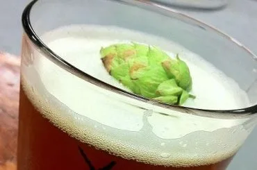 Vaso de cerveza con lúpulo