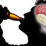 Como actua la cerveza en el cerebro