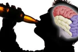 Como actua la cerveza en el cerebro