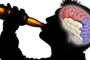 Como actua la cerveza en el cerebro