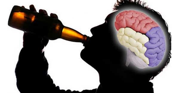 Como actua la cerveza en el cerebro