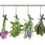 hierbas elaboracion cerveza