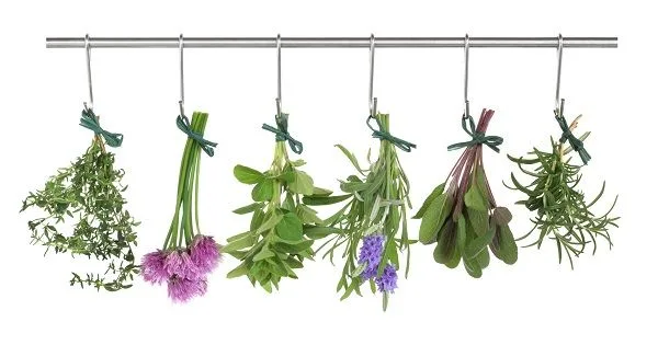 hierbas elaboracion cerveza