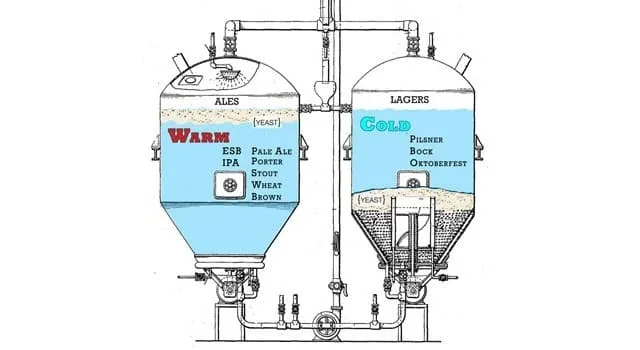 Fermentación alta vs fermentación baja Fermentación alta vs fermentación baja