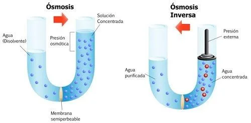 Ósmosis vs. ósmosis inversa Ósmosis vs. ósmosis inversa