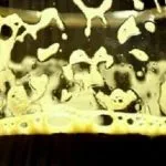 Encae belga cerveza