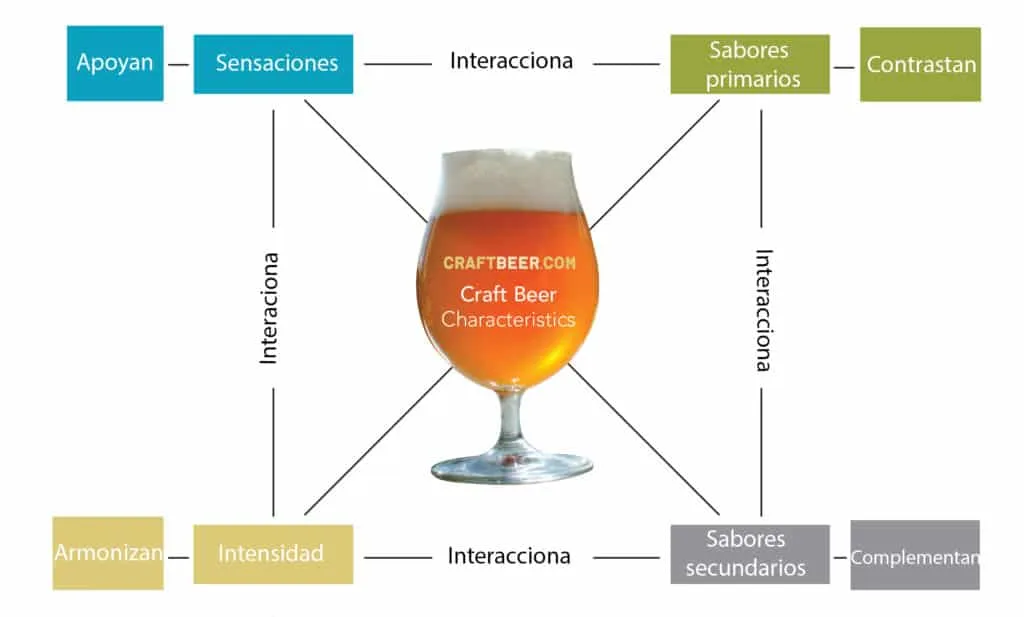 beer pairing interactions