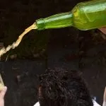Sidra asturiana