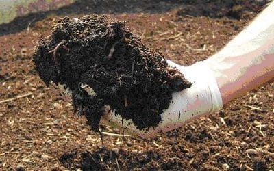 abono orgánico para el cultivo de lúpulo abono orgánico para el cultivo de lúpulo