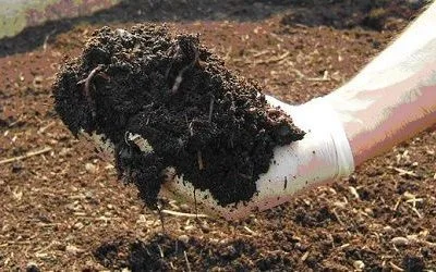 abono orgánico para el cultivo de lúpulo abono orgánico para el cultivo de lúpulo
