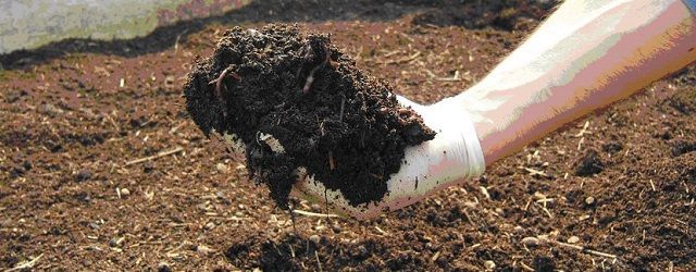 abono orgánico para el cultivo de lúpulo abono orgánico para el cultivo de lúpulo