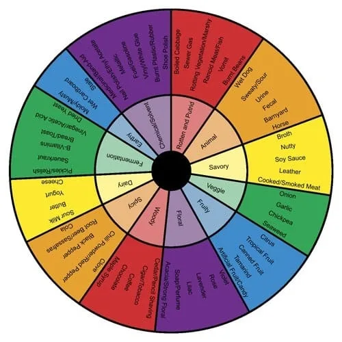 Rueda de aromas y sabores del Brettanomyces Rueda de aromas y sabores del Brettanomyces