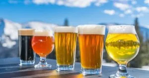 Beer styles and their pairings