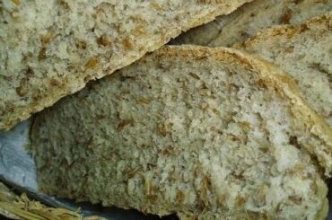 Pan de bagazo de cerveza
