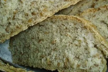 Pan de bagazo de cerveza
