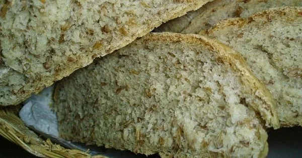 Pan de bagazo de cerveza