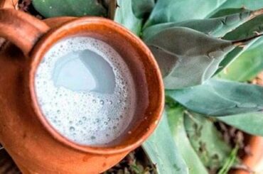 Pulque