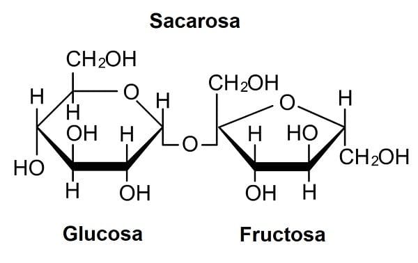 Sacarosa Sacarosa