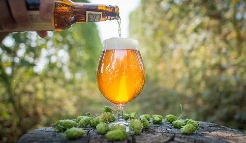 Cerveza estilo India Pale Ale (IPA) India Pale Ale (IPA) beer