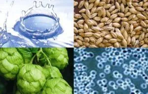 Ingredientes cerveza Ingredientes cerveza