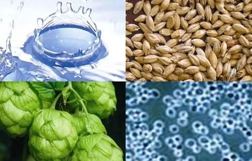 Agua, malta, lúpulo y levadura Beer ingredients: water, malt, hops, yeast