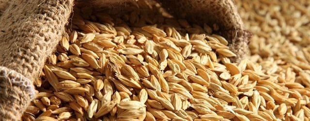 9 recetas de medicina natural con cerveza, lúpulo y cebada ...
