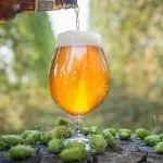 Cerveza IPA